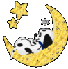 fcaa65b39a_21381127_o2.gif