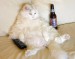 Chill_Out.1.jpg